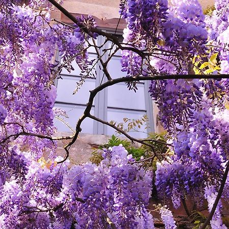 Les Glycines Vezelay Hotel ภายนอก รูปภาพ